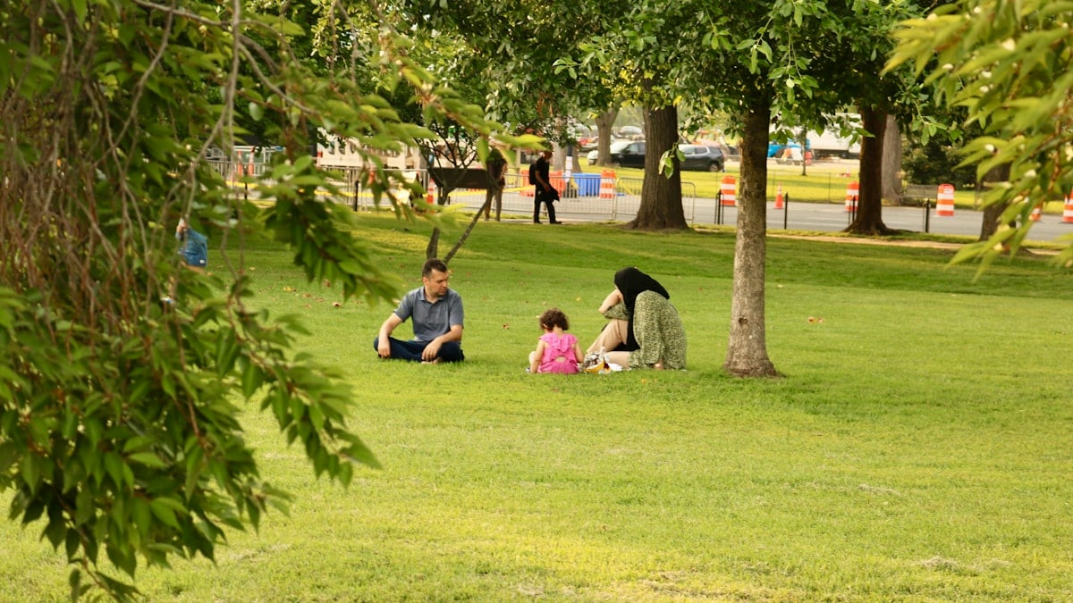 Family enjoys a relaxing day at the park.